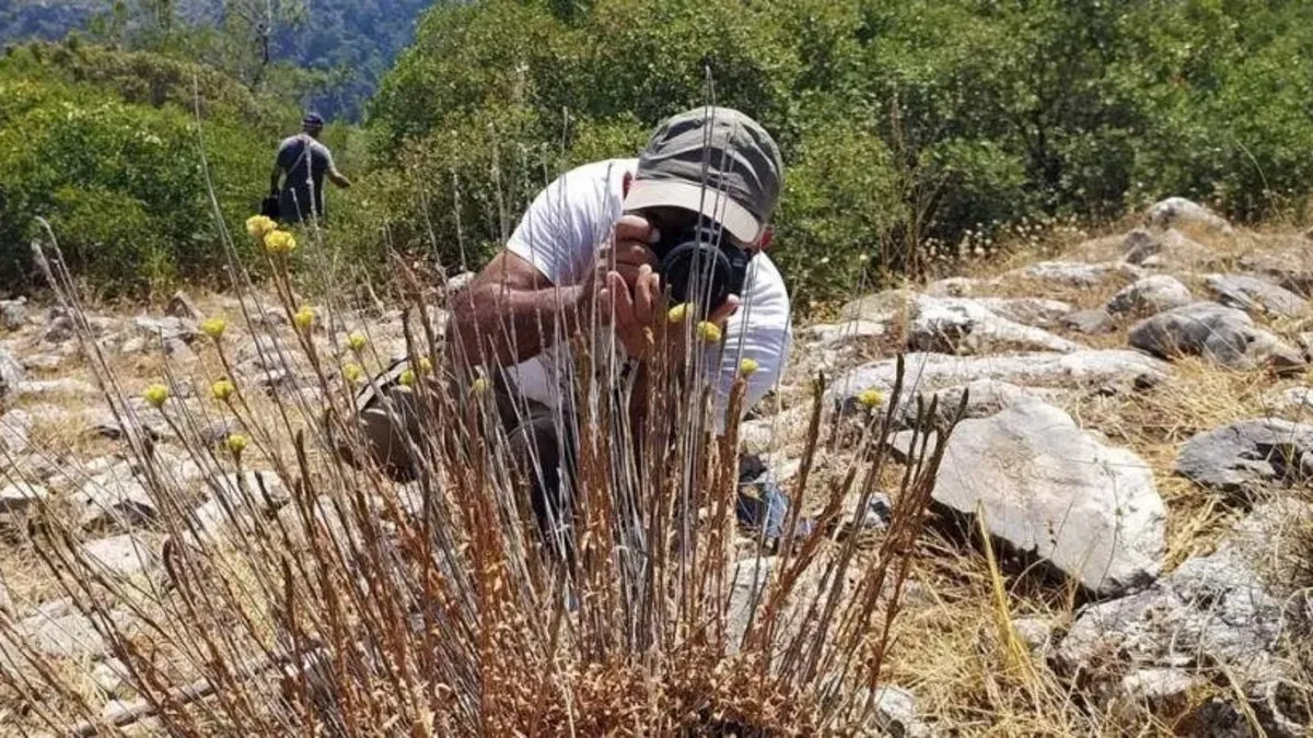 Yalnızca 11 adet kaldı! Jandarma denetliyor: Koparmanın cezası 387 bin lira