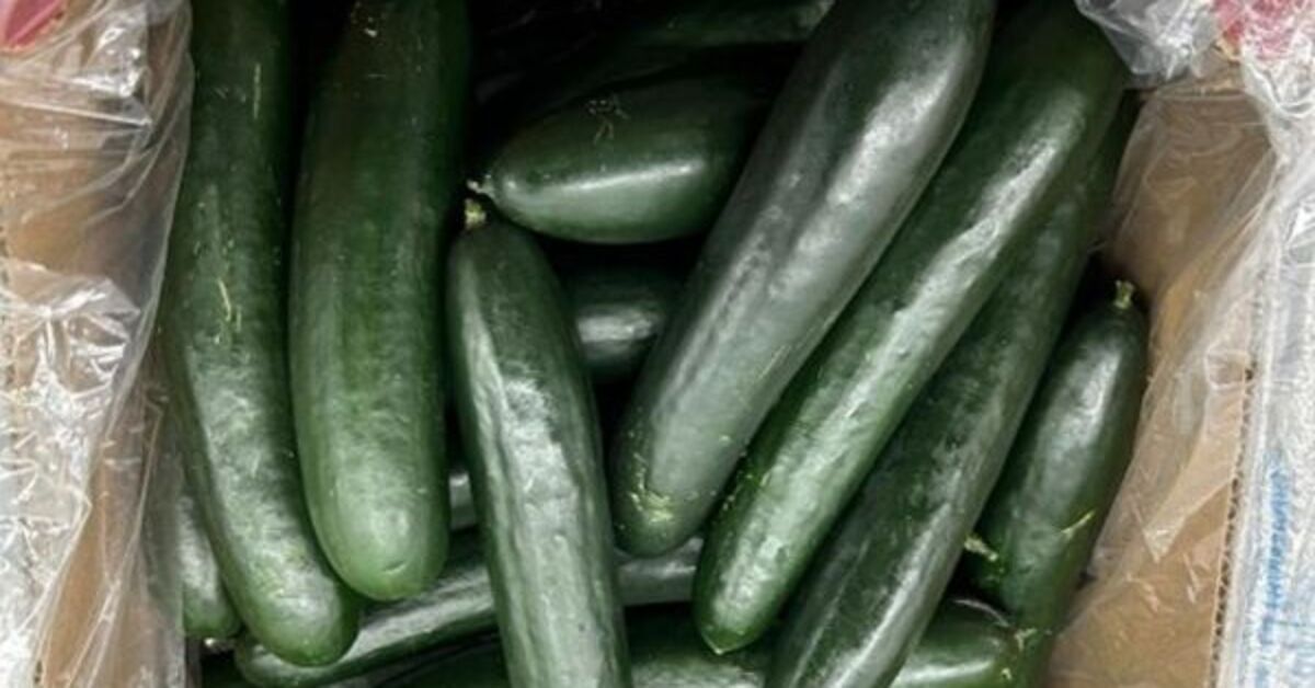 ABD’nin 26 eyaletinde satılan salatalıklar salmonella riski nedeniyle incelemeye alındı